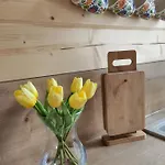Borowikowe Zacisze Drewniane Z Kominkami * Falsztyn