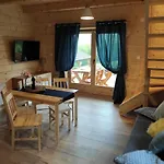 Ferienhaus Borowikowe Zacisze Drewniane Z Kominkami *