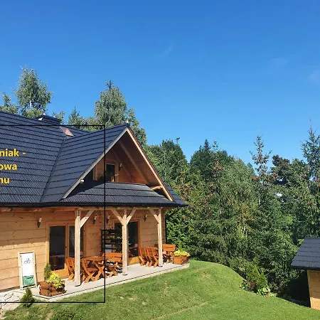 Holiday home Borowikowe Zacisze Drewniane Z Kominkami