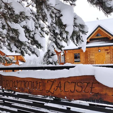 W Borowikowym Zaciszu *