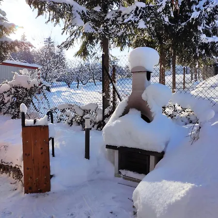 Borowikowe Zacisze Drewniane Z Kominkami Holiday home