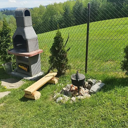W Borowikowym Zaciszu *