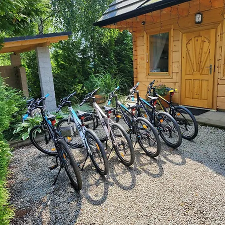 Borowikowe Zacisze Drewniane Z Kominkami Holiday home *